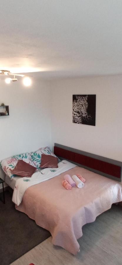 K&K Apartment กอสเตรนา ภายนอก รูปภาพ